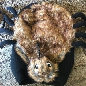 Spider costume for small doggie